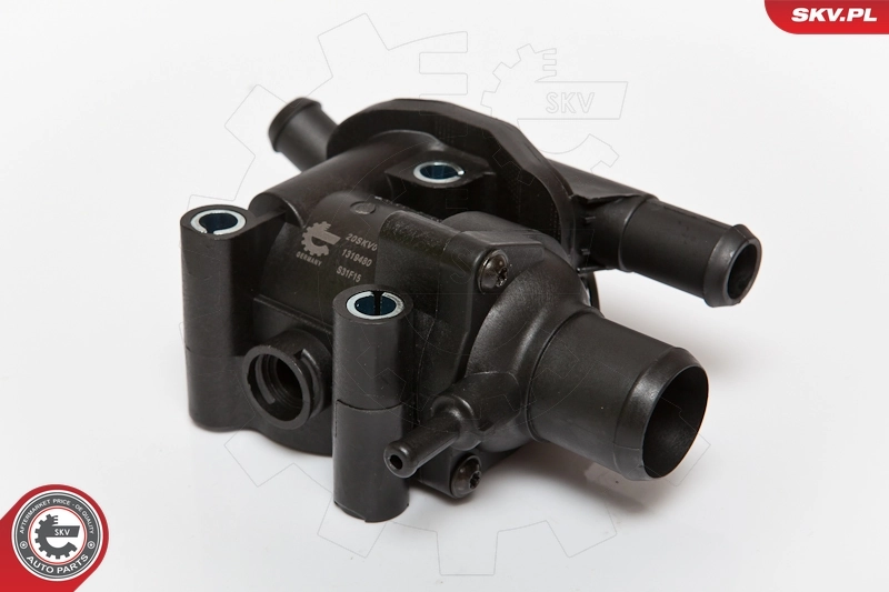 Thermostat, coolant